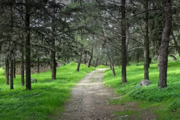 טיול טבע מחוץ לאתונה – עם תחבורה ציבורית