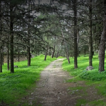 טיול טבע מחוץ לאתונה – עם תחבורה ציבורית